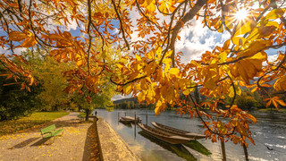 Schaffhausen im Herbst mit Rhein Weidling | © Schaffhauserland Tourismus