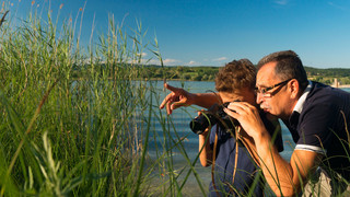 Vogelbeobachtung auf der Halbinsel Mettnau  | © REGIO KBH, Fotograf: Fotostudio Kasper