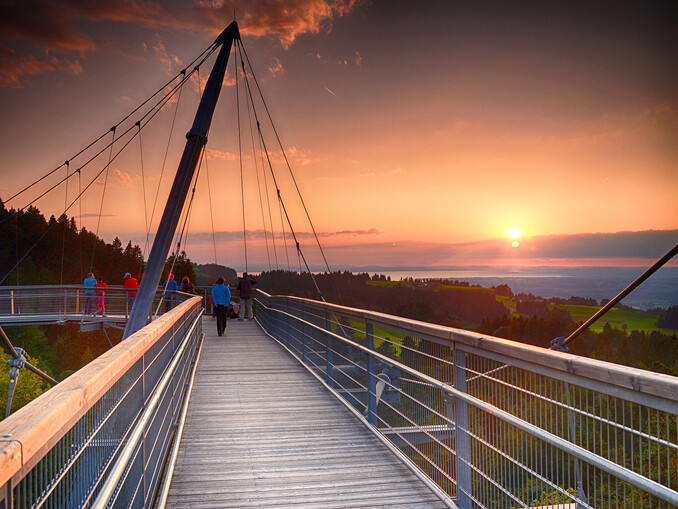 Waldwelt Skywalk Allgäu