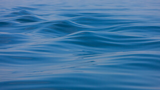 ©Victor-Marin | © ©Victor-Marin