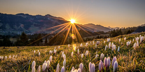 © Nora Fröhlich / Bregenzerwald Tourismus 