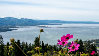 Gewinner-Bild Flyer Saison 2026  | © Stefanie Auer