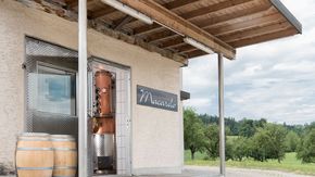 La distilleria Macardo a Amlikon