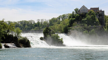 Rheinfall in der Nähe vom Bodensee