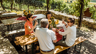 Pause bei der Weinwanderung | © Schaffhauserland Tourismus