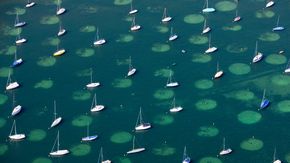 Bodensee mit Segelschiffe | © Achim Mende