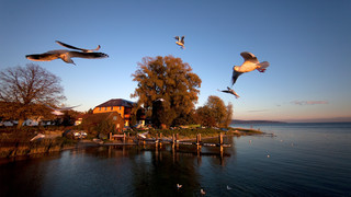Nussdorf at Lake Constance