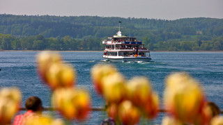 Im Frühling Schifffahren auf dem Bodensee