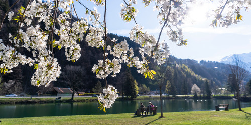 Baggersee Roter Stein im Frühling | © Vorarlberg Tourismus | Agnes Ammann