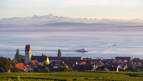Blick auf den Bodensee und Säntis