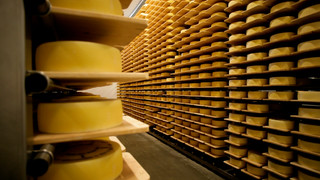 Appenzeller show cheese dairy