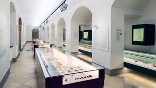 Historical and Ethnological Museum, St.Gallen (HVM) close to Lake Constance