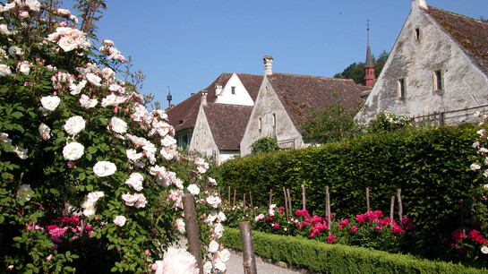Kartause Ittingen in der Nähe vom Bodensee