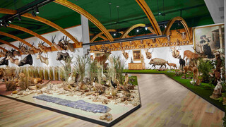 Sammlung Hans Bäumler Hohenems