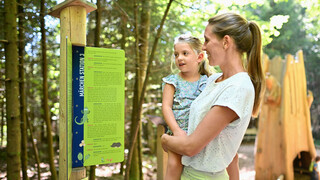 Scheidegger Wasserfälle