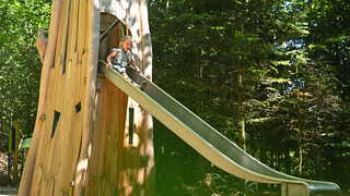 Scheidegger Wasserfälle