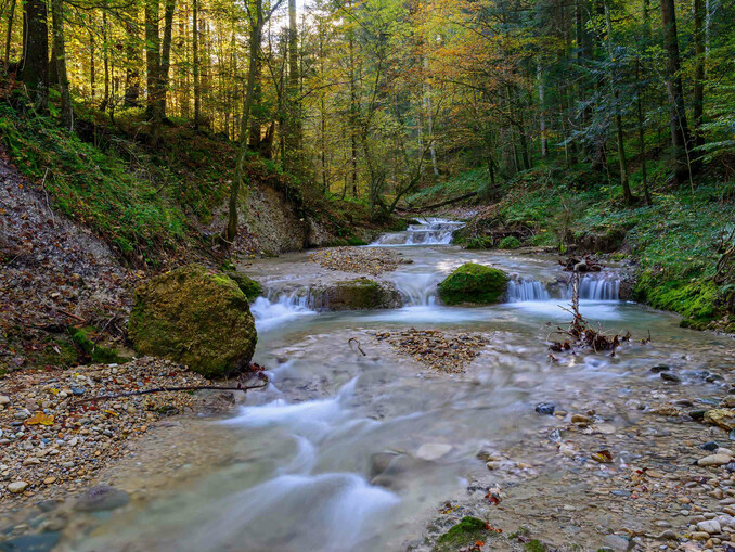 Scheidegger Wasserfälle im Herbst | © Thomas Gretler