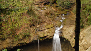 Scheidegger Wasserfälle in der Nähe vom Bodensee