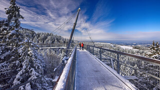 Wald Abenteuer Welt skywalk allgäu