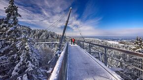 Wald Abenteuer Welt skywalk allgäu