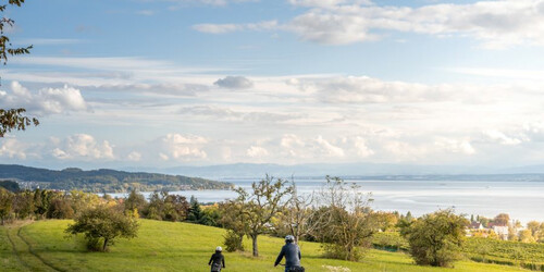Geführte E-Bike Tour Überlingen