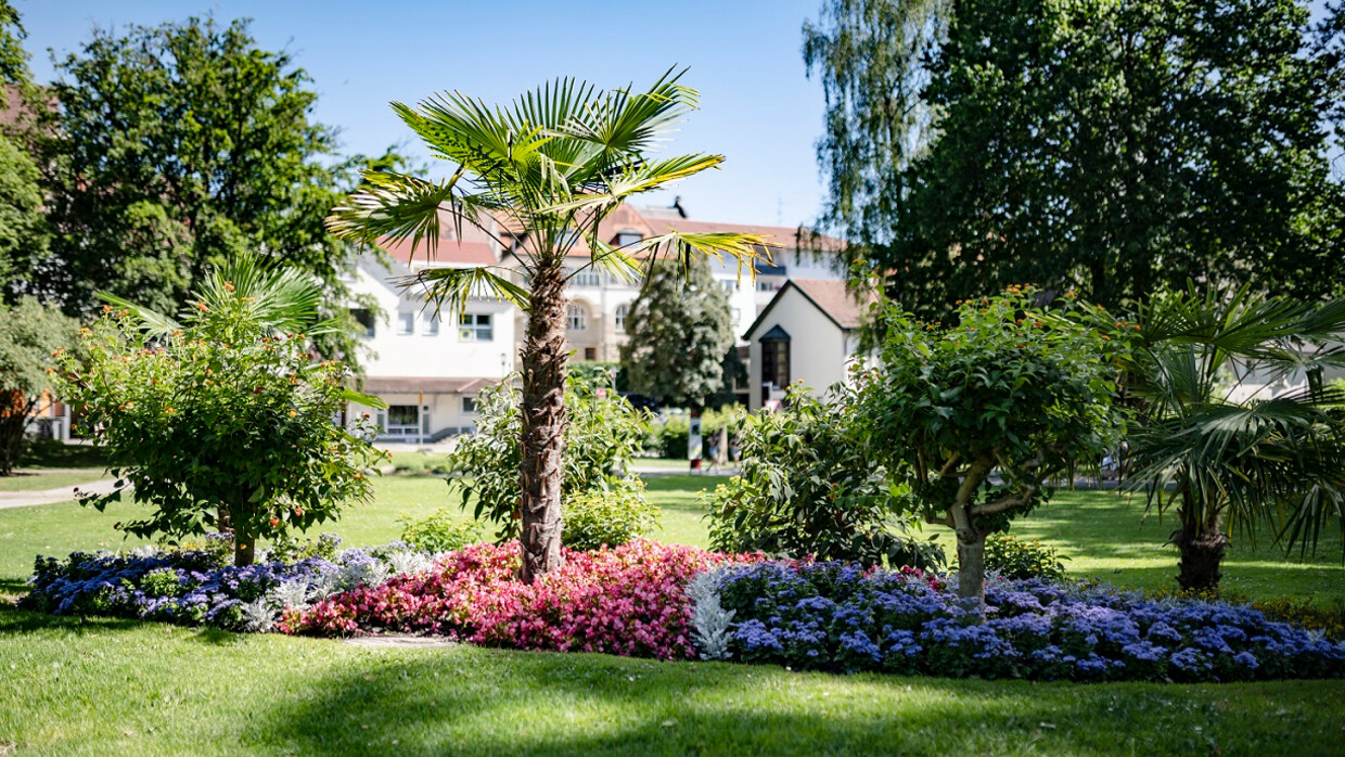 Stockacher Stadtgartenführung mit Imbiss | Bodensee Tourismus