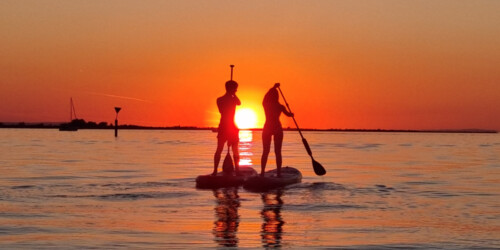 SUP-Sunset-Tour am Bodensee - Surfmax Hard