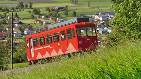 Blick über den Bodensee von der Zahnradbahn Rheineck-Walzenhausen