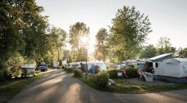 Stellplätze - Campingplatz Gohren | © Campingplatz Gohren