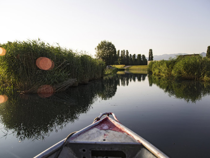 Fischer Franz Blum | © Vorarlberg Tourismus - Joachim Negwer