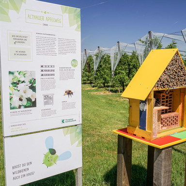 Apfelweg Altnau | © Thurgau Tourismus