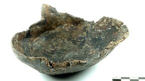 Holzschale © Landesamt für Denkmalpflege | © Landesamt für Denkmalpflege