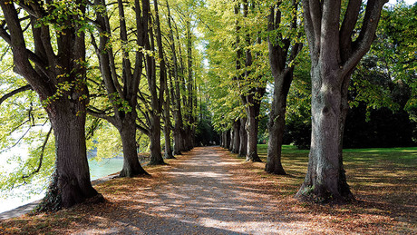 Lindenhofpark in Lindau am Bodensee | © Wolfgang Schneider