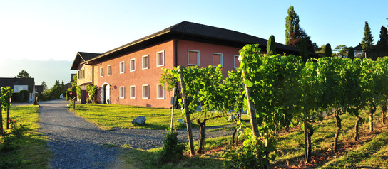 Hofkellerei in Vaduz in der Nähe vom Bodensee