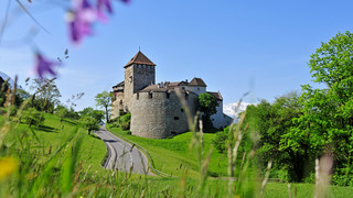 Schloss in Vaduz in der Nähe vom Bodensee