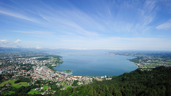 Bodensee Panorama vom Pfänder