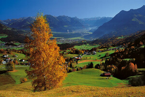 Blick auf Gurtis Walgau | © Vorarlberg Tourismus