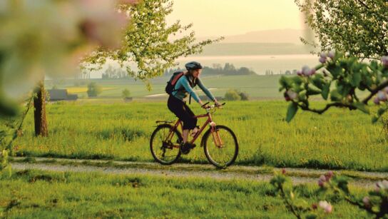 Radfahren in Altnau am Bodensee