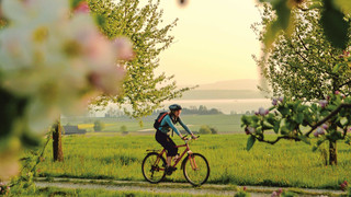 Cycling in Altnau at Lake Constance