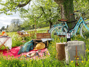 Picknick in Frauenfeld in der Nähe vom Bodensee