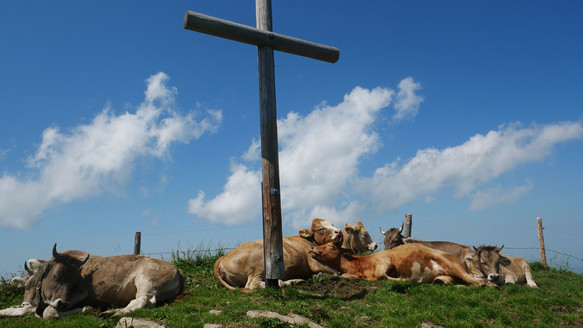 Gipfelkreuz Schäfler | © Nina Gebhart