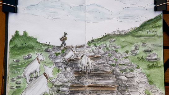 Zeichnung  von der Autorin | © Nina Gebhart