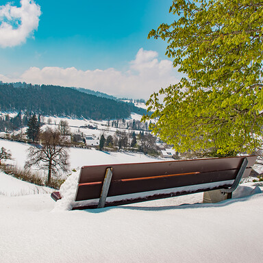 Zauberhafte Winterlandschaft am Bodensee | © Hendrik Hünecke