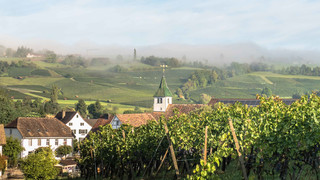 Klettgauer Wine Route - Oberhallau | © Schaffhauserland Tourismus