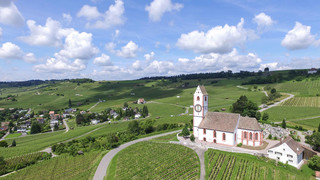 Klettgauer Wine Route - Hallau | © Schaffhauserland Tourismus