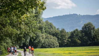 Rhine Valley Bike Path | © Bodensee Vorarlberg Tourismus