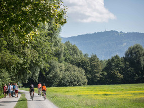 Rhine Valley Bike Path | © Bodensee Vorarlberg Tourismus