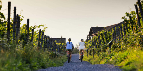 E-Bike-Tour durch Liechtenstein | © Liechtenstein Marketing