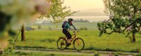 Radfahren am Bodensee