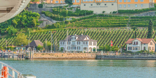 Bodensee Weinpröble | © Stadtwerke Konstanz GmbH